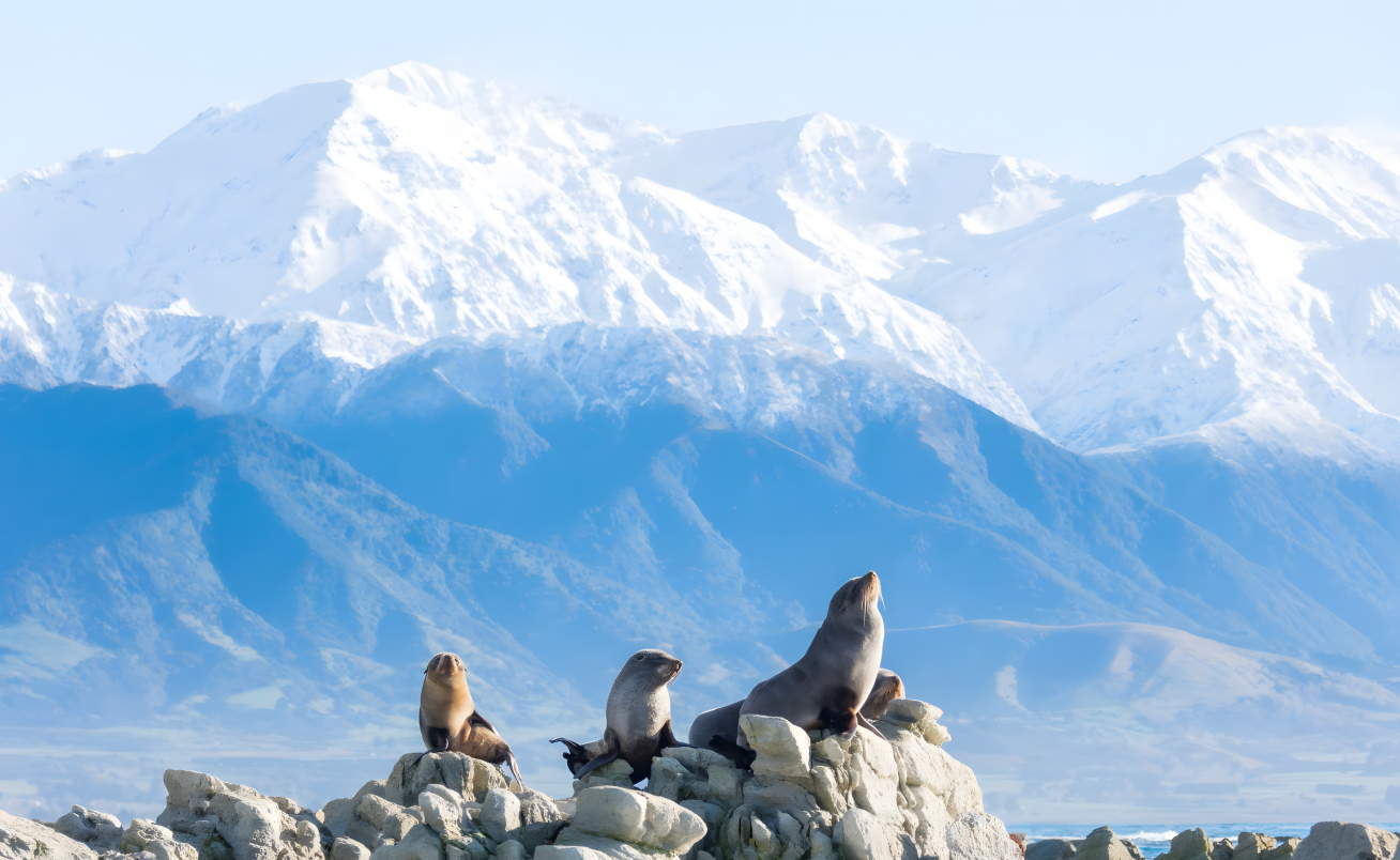 New Zealand 10-Day Tour
